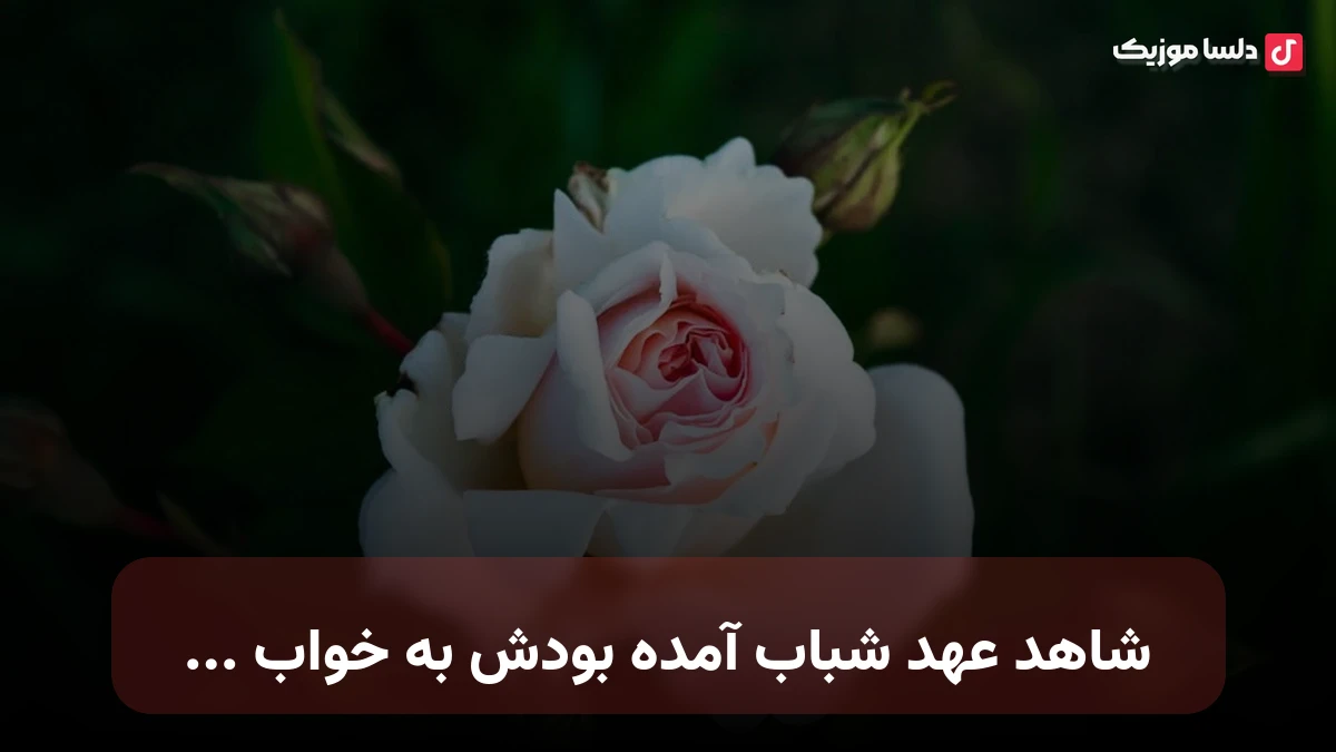 شاهد عهد شباب آمده بودش به خواب